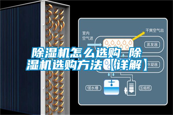 麻豆视频黄网站怎么选购 麻豆视频黄网站选购方法【详解】