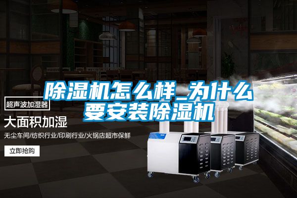 麻豆视频黄网站怎么样_为什么要安装麻豆视频黄网站