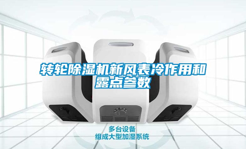 转轮麻豆视频黄网站新风表冷作用和露点参数