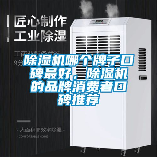麻豆视频黄网站哪个牌子口碑最好，麻豆视频黄网站的品牌消费者口碑推荐