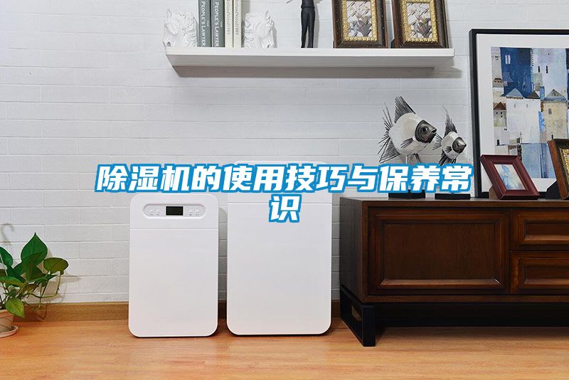 麻豆视频黄网站的使用技巧与保养常识