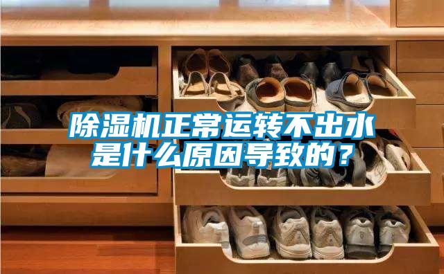 麻豆视频黄网站正常运转不出水是什么原因导致的？