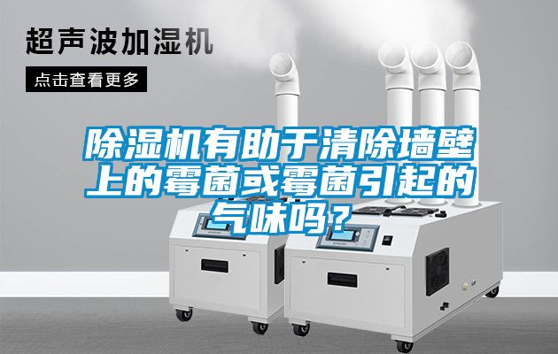麻豆视频黄网站有助于清除墙壁上的霉菌或霉菌引起的气味吗？
