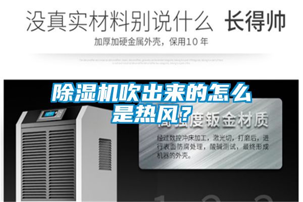 麻豆视频黄网站吹出来的怎么是热风？