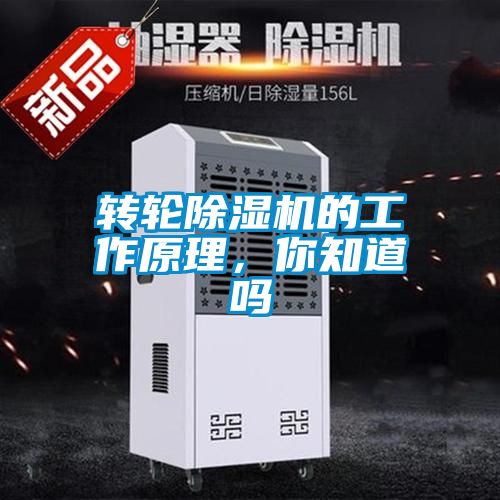 转轮麻豆视频黄网站的工作原理，你知道吗