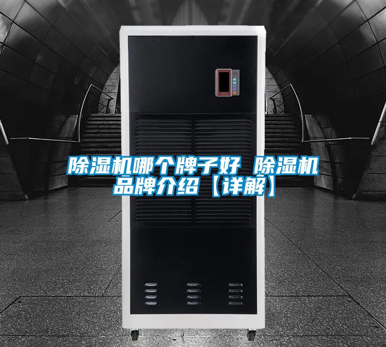 麻豆视频黄网站哪个牌子好 麻豆视频黄网站品牌介绍【详解】