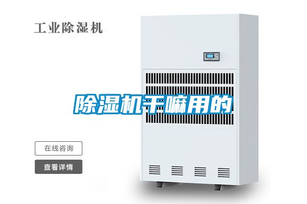 麻豆视频黄网站干嘛用的