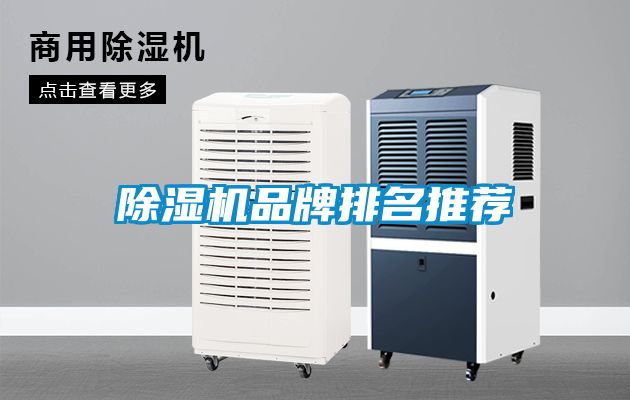 麻豆视频黄网站品牌排名推荐