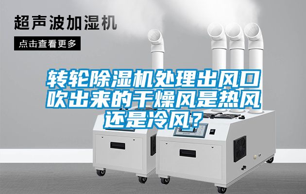 转轮麻豆视频黄网站处理出风口吹出来的干燥风是热风还是冷风？