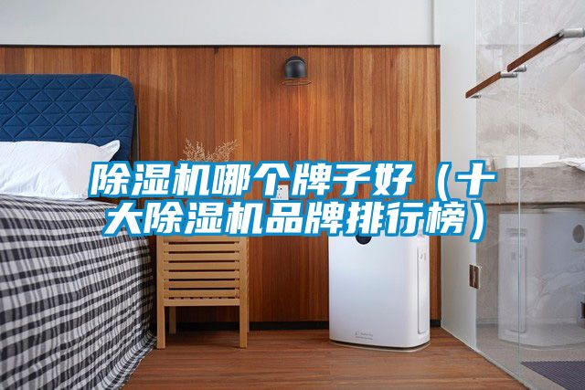麻豆视频黄网站哪个牌子好（十大麻豆视频黄网站品牌排行榜）