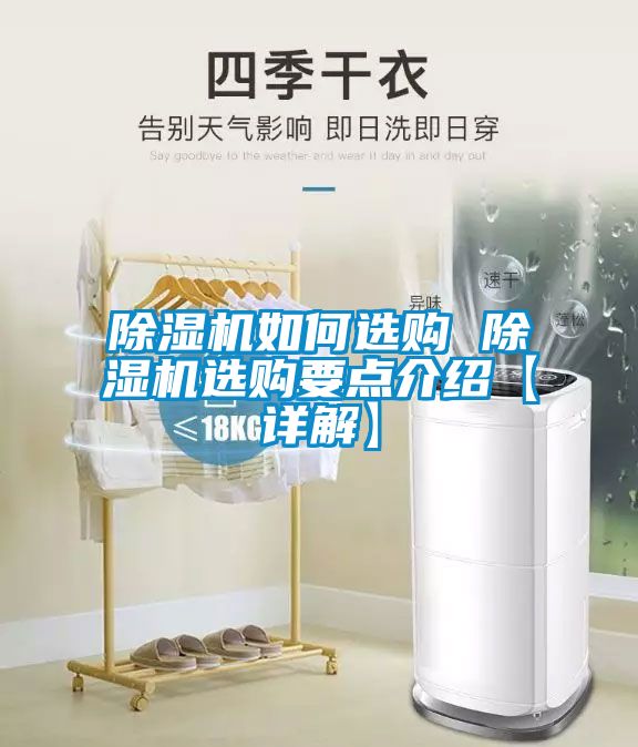 麻豆视频黄网站如何选购 麻豆视频黄网站选购要点介绍【详解】