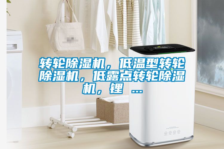 转轮麻豆视频黄网站，低温型转轮麻豆视频黄网站，低露点转轮麻豆视频黄网站，锂 ...