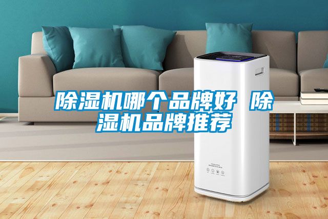 麻豆视频黄网站哪个品牌好 麻豆视频黄网站品牌推荐