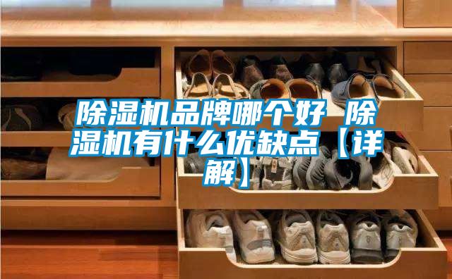 麻豆视频黄网站品牌哪个好 麻豆视频黄网站有什么优缺点【详解】