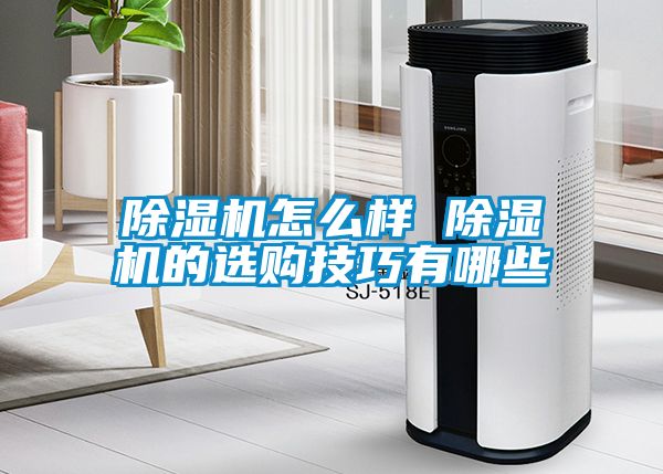 麻豆视频黄网站怎么样 麻豆视频黄网站的选购技巧有哪些
