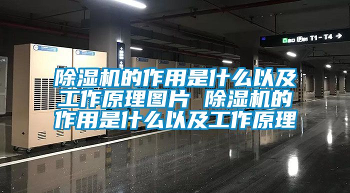 麻豆视频黄网站的作用是什么以及工作原理图片 麻豆视频黄网站的作用是什么以及工作原理