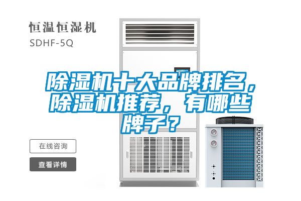 麻豆视频黄网站十大品牌排名，麻豆视频黄网站推荐，有哪些牌子？
