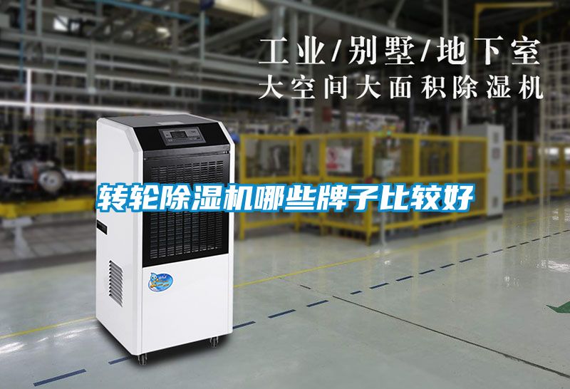 转轮麻豆视频黄网站哪些牌子比较好