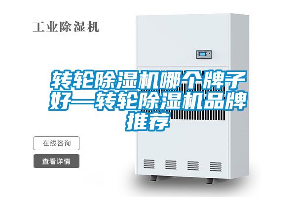 转轮麻豆视频黄网站哪个牌子好—转轮麻豆视频黄网站品牌推荐