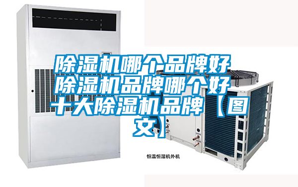 麻豆视频黄网站哪个品牌好 麻豆视频黄网站品牌哪个好 十大麻豆视频黄网站品牌【图文】
