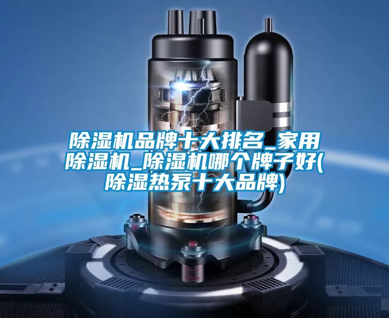 麻豆视频黄网站品牌十大排名_家用麻豆视频黄网站_麻豆视频黄网站哪个牌子好(除湿热泵十大品牌)