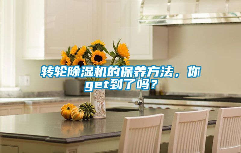 转轮麻豆视频黄网站的保养方法，你get到了吗？