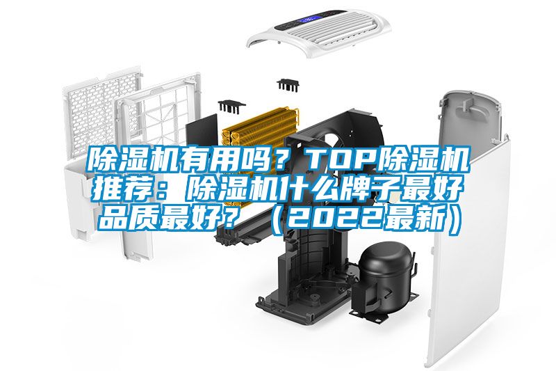 麻豆视频黄网站有用吗？TOP麻豆视频黄网站推荐：麻豆视频黄网站什么牌子最好品质最好？（2022最新）