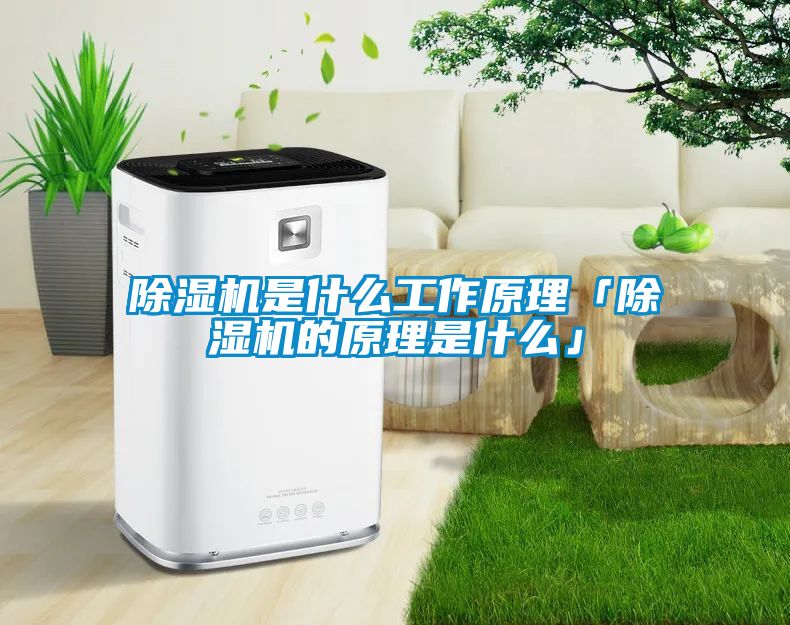 麻豆视频黄网站是什么工作原理「麻豆视频黄网站的原理是什么」