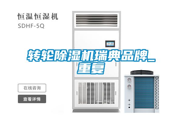 转轮麻豆视频黄网站瑞典品牌_重复