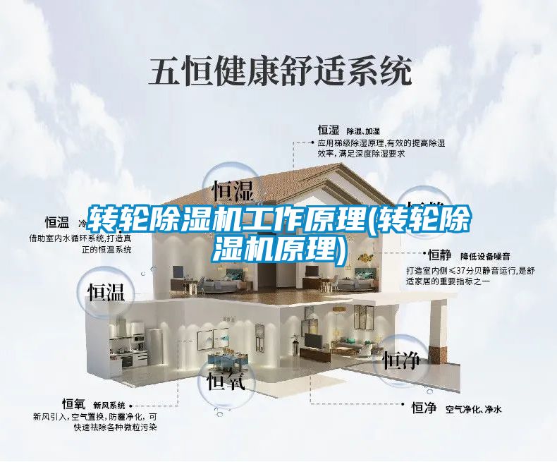 转轮麻豆视频黄网站工作原理(转轮麻豆视频黄网站原理)