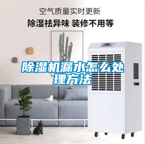 麻豆视频黄网站漏水怎么处理方法