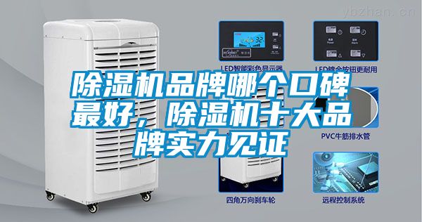 麻豆视频黄网站品牌哪个口碑最好，麻豆视频黄网站十大品牌实力见证
