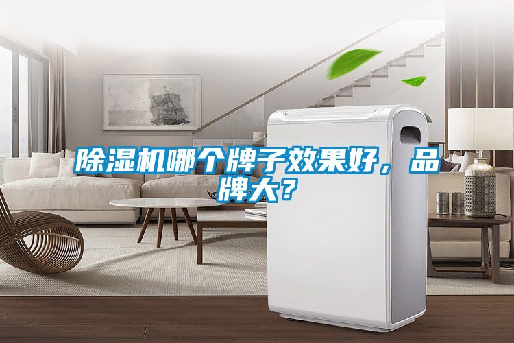 麻豆视频黄网站哪个牌子效果好，品牌大？