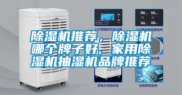 麻豆视频黄网站推荐，麻豆视频黄网站哪个牌子好, 家用麻豆视频黄网站抽湿机品牌推荐