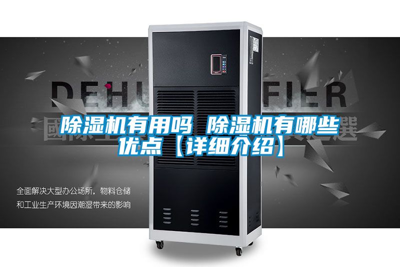 麻豆视频黄网站有用吗 麻豆视频黄网站有哪些优点【详细介绍】