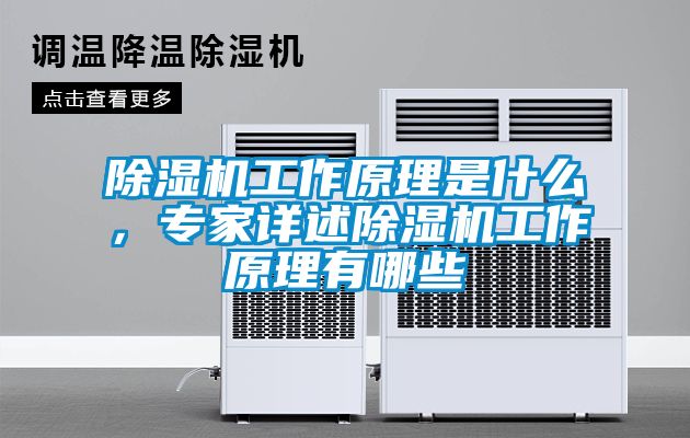 麻豆视频黄网站工作原理是什么，专家详述麻豆视频黄网站工作原理有哪些