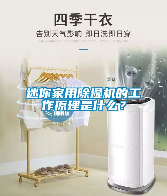 迷你家用麻豆视频黄网站的工作原理是什么？
