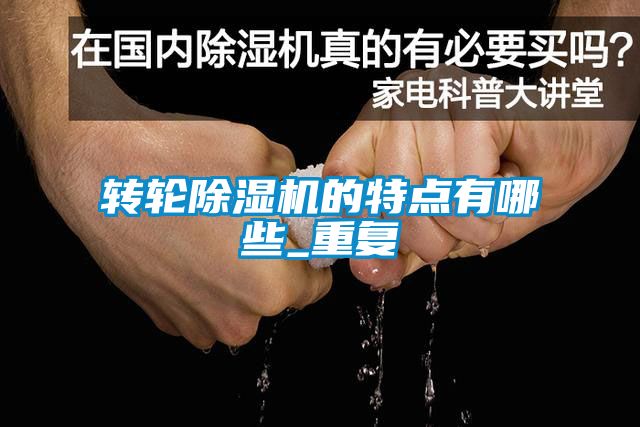 转轮麻豆视频黄网站的特点有哪些_重复