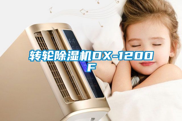 转轮麻豆视频黄网站DX-1200F