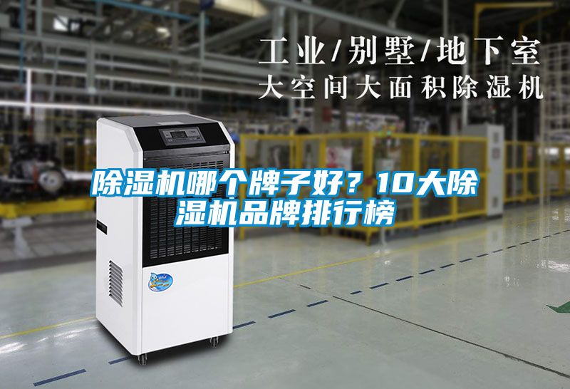 麻豆视频黄网站哪个牌子好？10大麻豆视频黄网站品牌排行榜