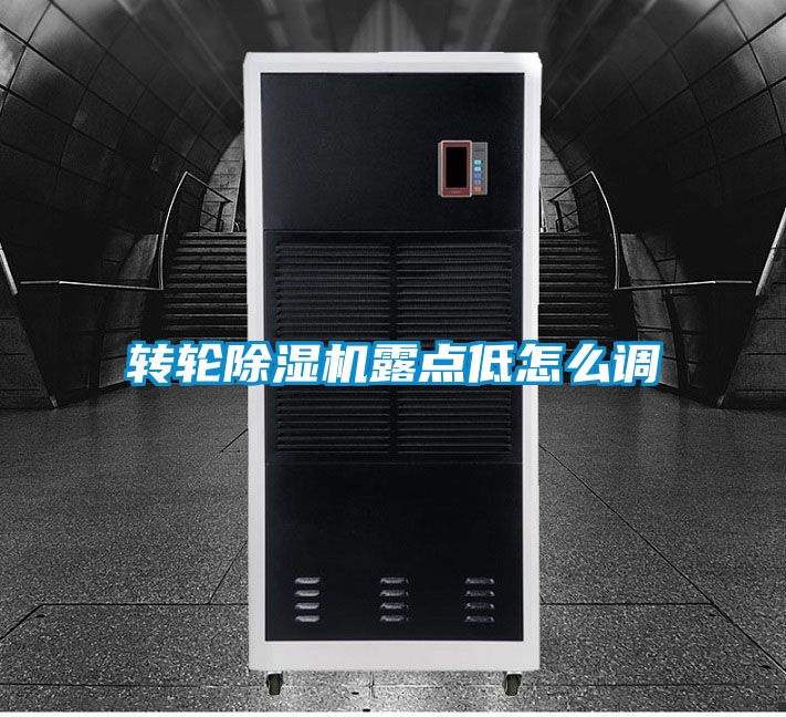 转轮麻豆视频黄网站露点低怎么调