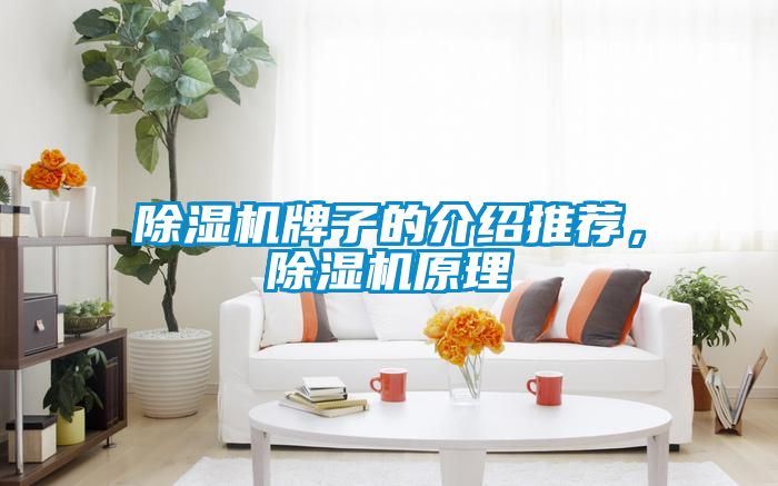 麻豆视频黄网站牌子的介绍推荐，麻豆视频黄网站原理