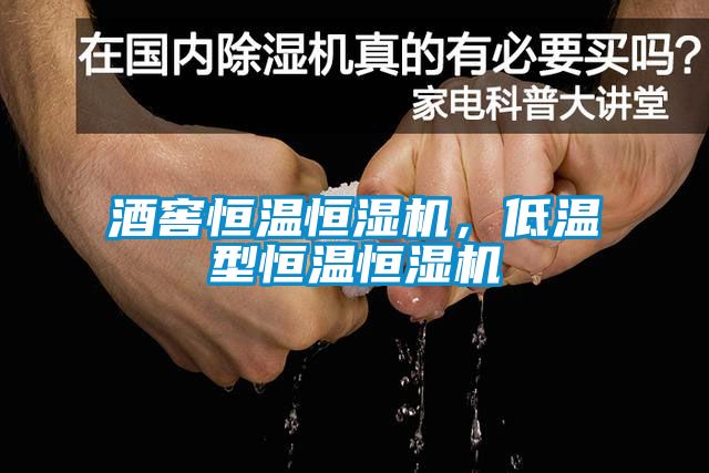 酒窖恒温恒湿机，低温型恒温恒湿机