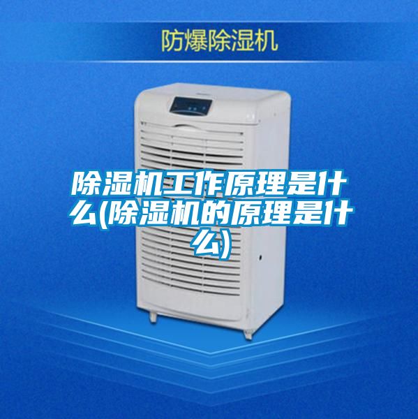 麻豆视频黄网站工作原理是什么(麻豆视频黄网站的原理是什么)