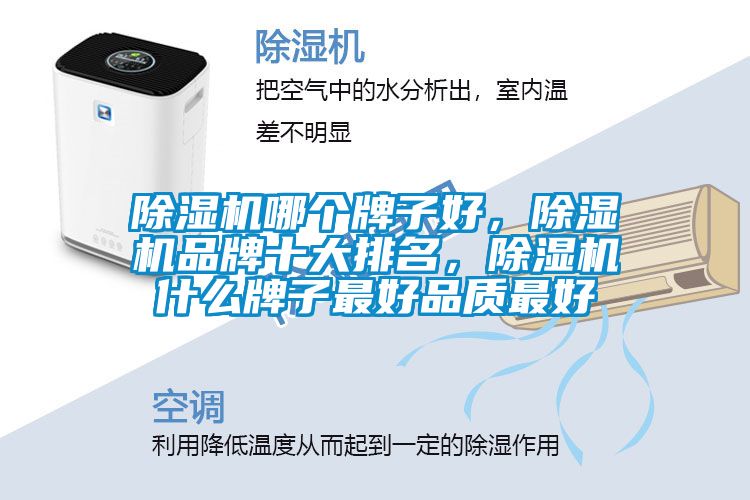 麻豆视频黄网站哪个牌子好，麻豆视频黄网站品牌十大排名，麻豆视频黄网站什么牌子最好品质最好