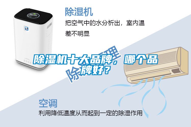 麻豆视频黄网站十大品牌，哪个品牌好？