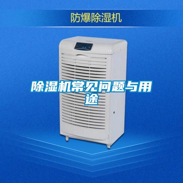 麻豆视频黄网站常见问题与用途