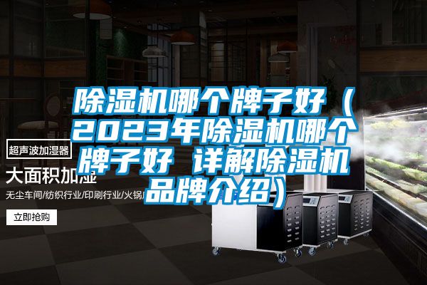 麻豆视频黄网站哪个牌子好（2023年麻豆视频黄网站哪个牌子好 详解麻豆视频黄网站品牌介绍）
