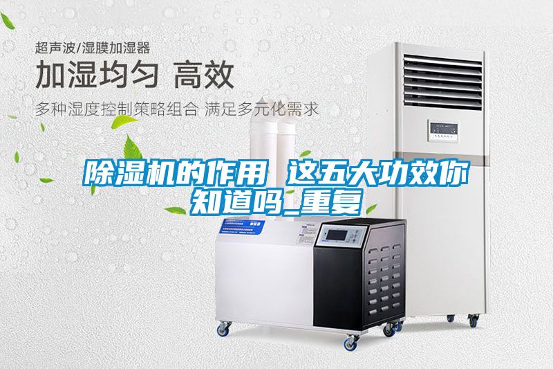 麻豆视频黄网站的作用 这五大功效你知道吗_重复