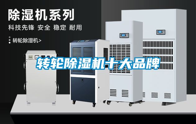 转轮麻豆视频黄网站十大品牌